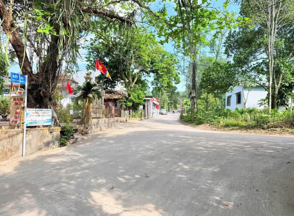 Đất nền mặt tiền Thích Tịnh Khiết 100m² - Tiềm năng tăng giá tại Huế!