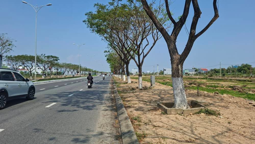 Đất Nền Võ Chí Công Đà Nẵng 100m² Từ 4 Tỷ - Tiềm Năng Tăng Giá Mạnh!