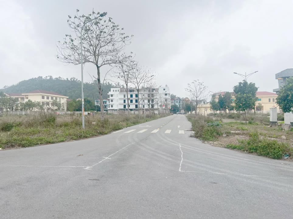 Đất nền view vườn hoa, 97.5m² tại Dự án Phúc Nghiêm, Bắc Ninh - Giá 3 tỷ