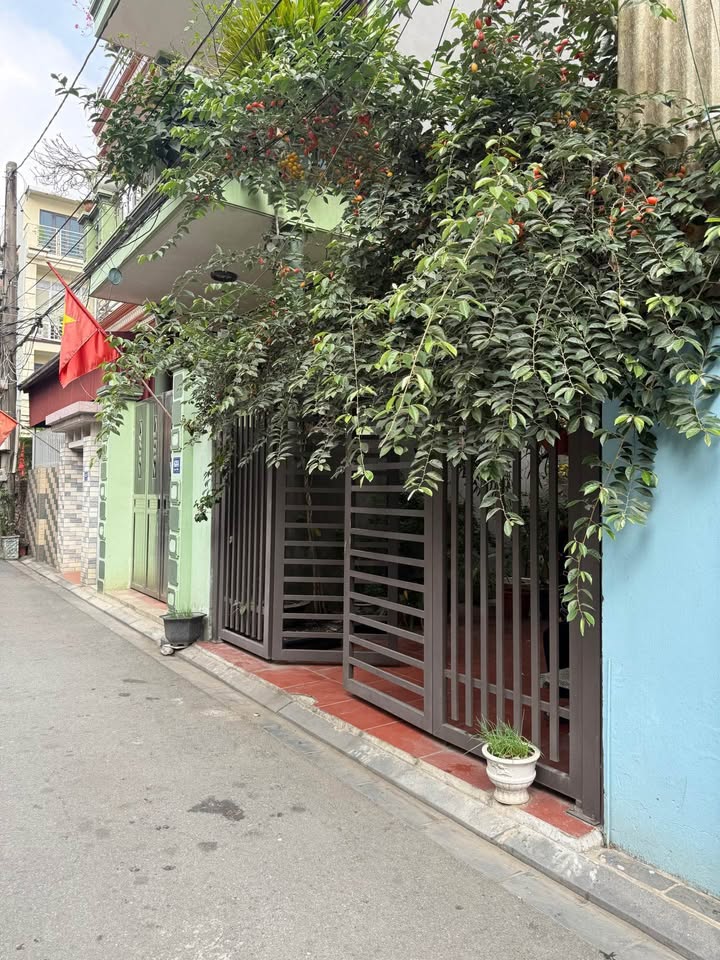 Đất nền Trần Đoan Hàng, Đông Anh 56.6m² - An sinh đỉnh cao, sổ đỏ sẵn sàng