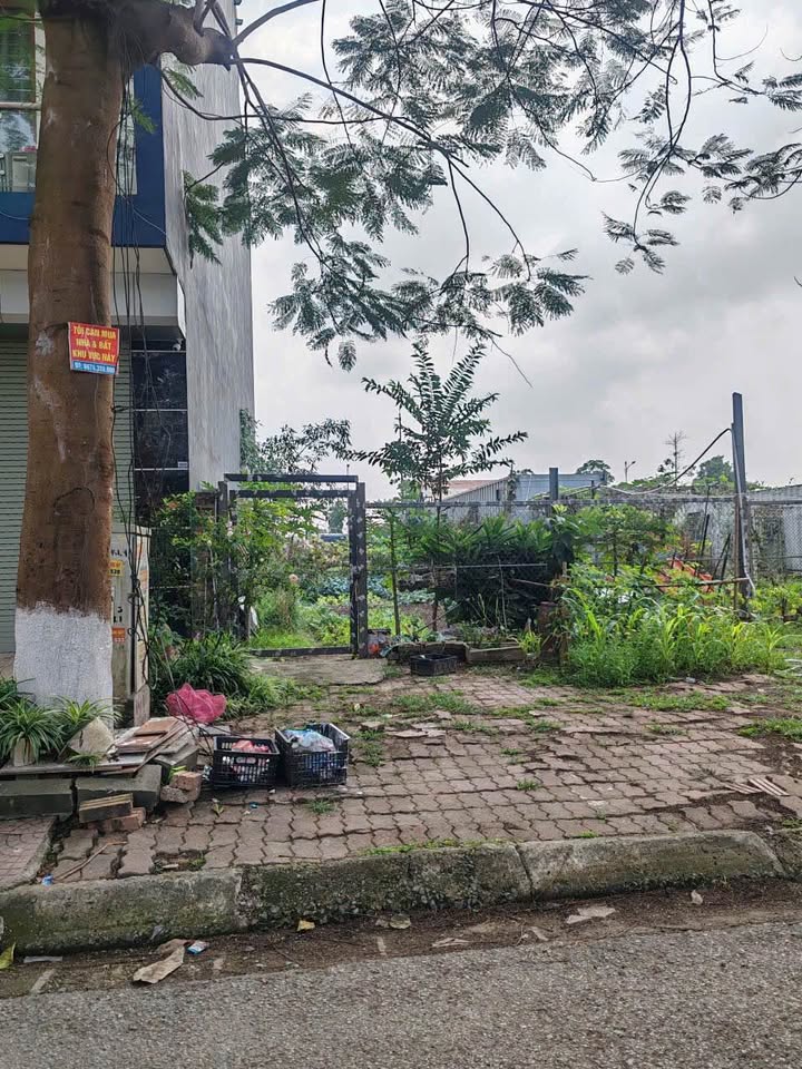 Đất nền Nguyễn Quyền Bắc Ninh 102m² 11 tỷ - Vị trí đắc địa sinh lời cao!