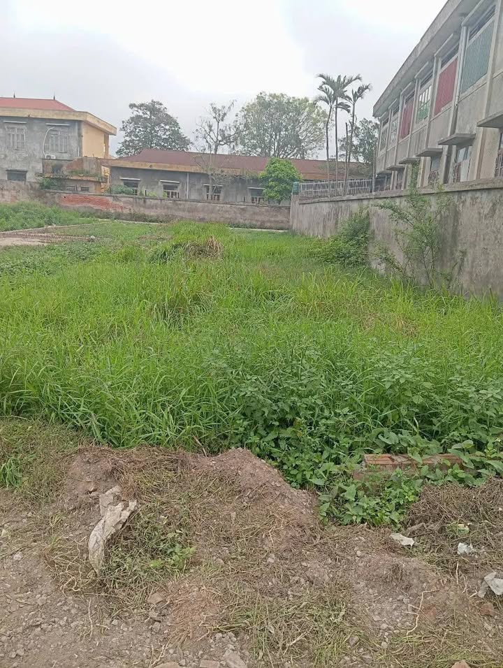 Bán Đất An Bình, Thuận Thành 70m² - Sổ Đỏ Chính Chủ, Giá Đầu Tư