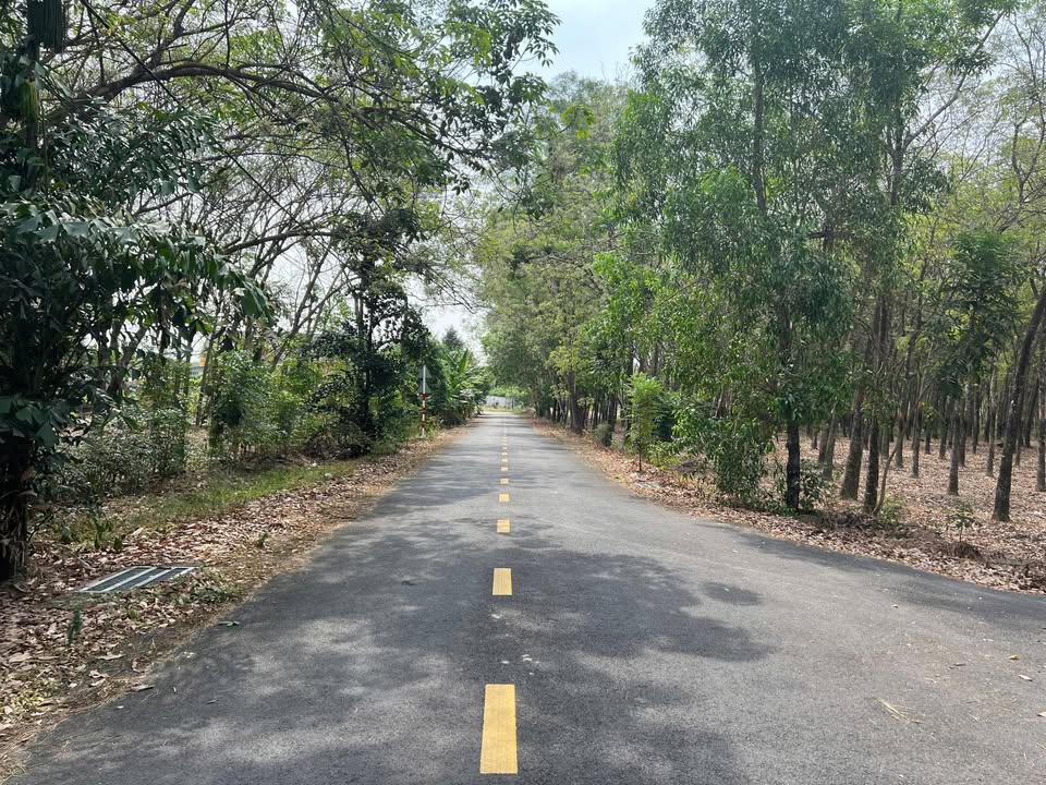 Đất nền Chánh Phú Hòa, Bến Cát 140m² - Sổ đỏ chính chủ