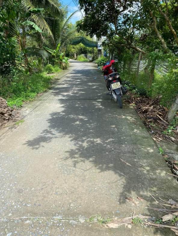 Đất nền Bình Hàng Tây, Cao Lãnh 300m² giá 720 triệu - Tiềm năng tăng giá!