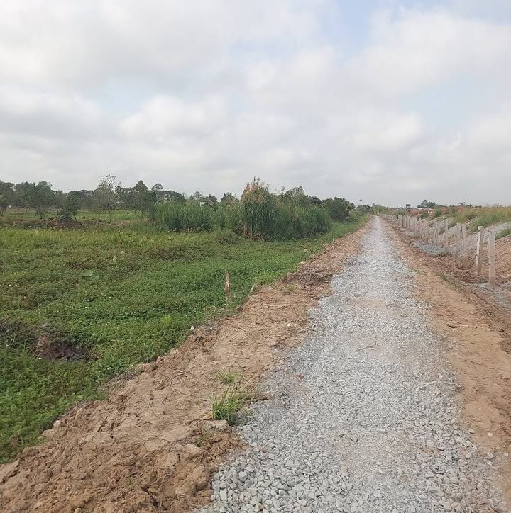 Đất Vườn Lấp Vò Đồng Tháp 8000m² - Mặt Tiền Lớn 173m - Giá Đầu Tư 32 Tỷ