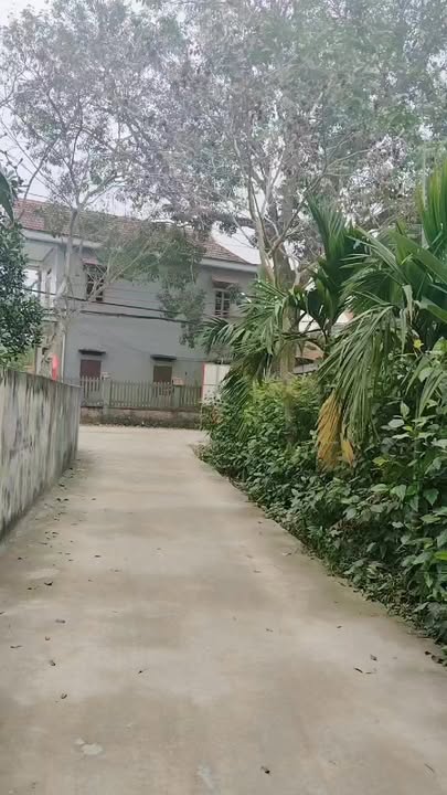 Đất nền 115m² Tân Lập Sông Lô Vĩnh Phúc - Sổ đỏ chính chủ