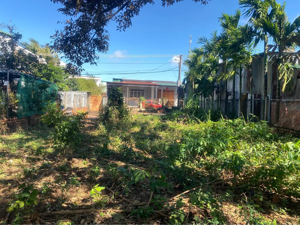 Đất nền Trần Kiên, Buôn Ma Thuột 225m² - Sổ đỏ chính chủ