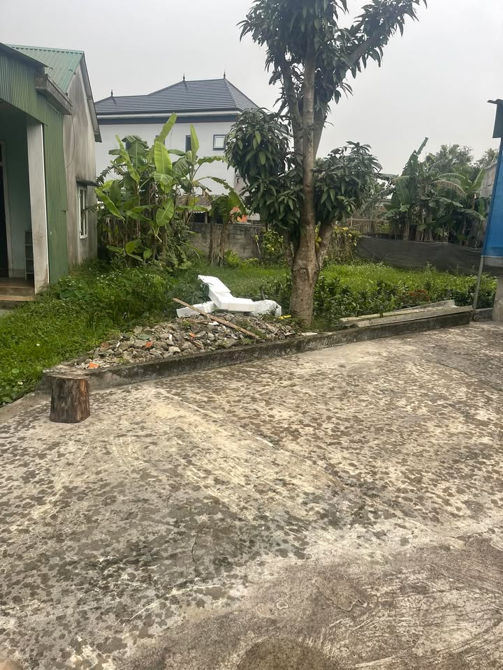 Đất nền Lộc Ân, Hà Tĩnh 163m² - Sổ đỏ chính chủ, giá tốt