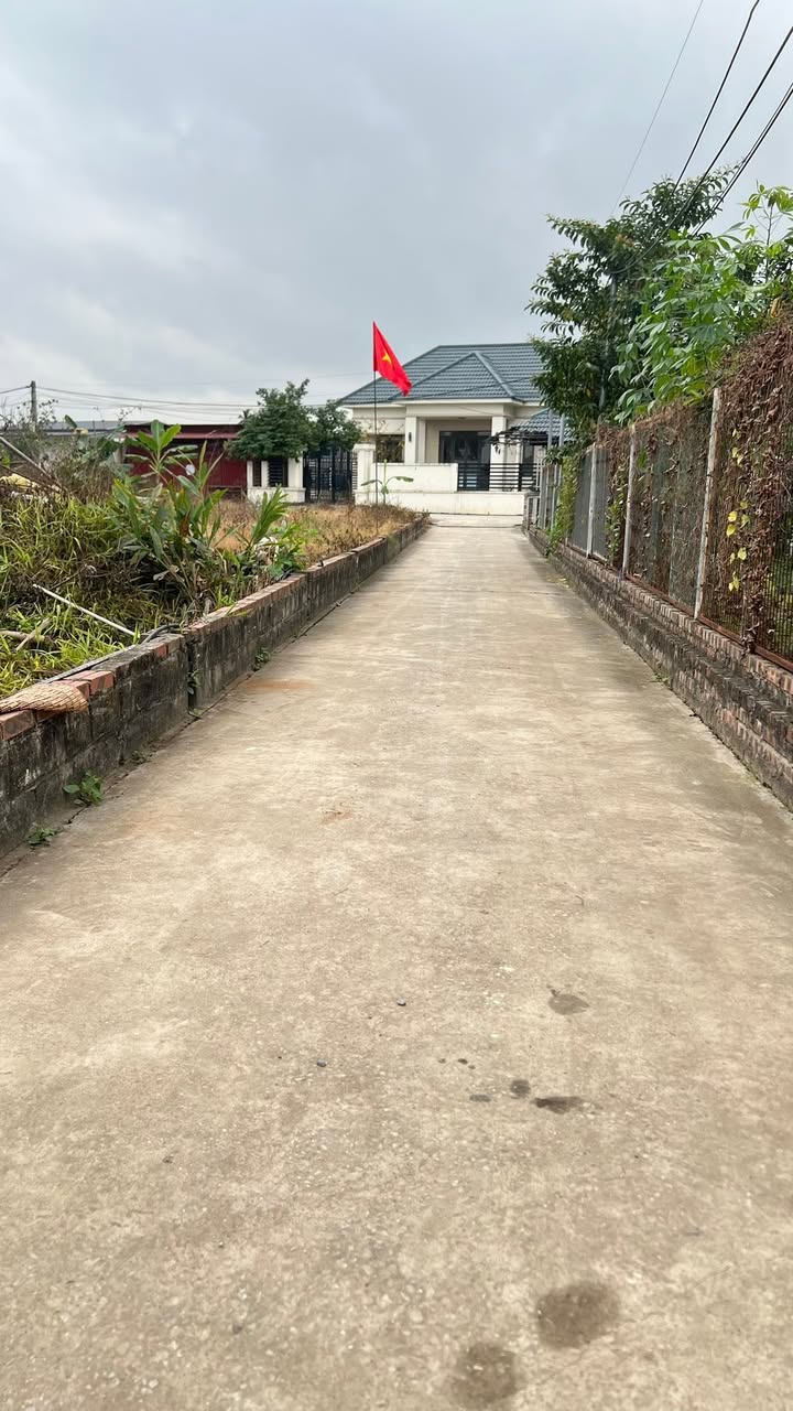 Đất Nền Hồng Bàng 63m² - Tiềm Năng Tăng Giá Vượt Trội!