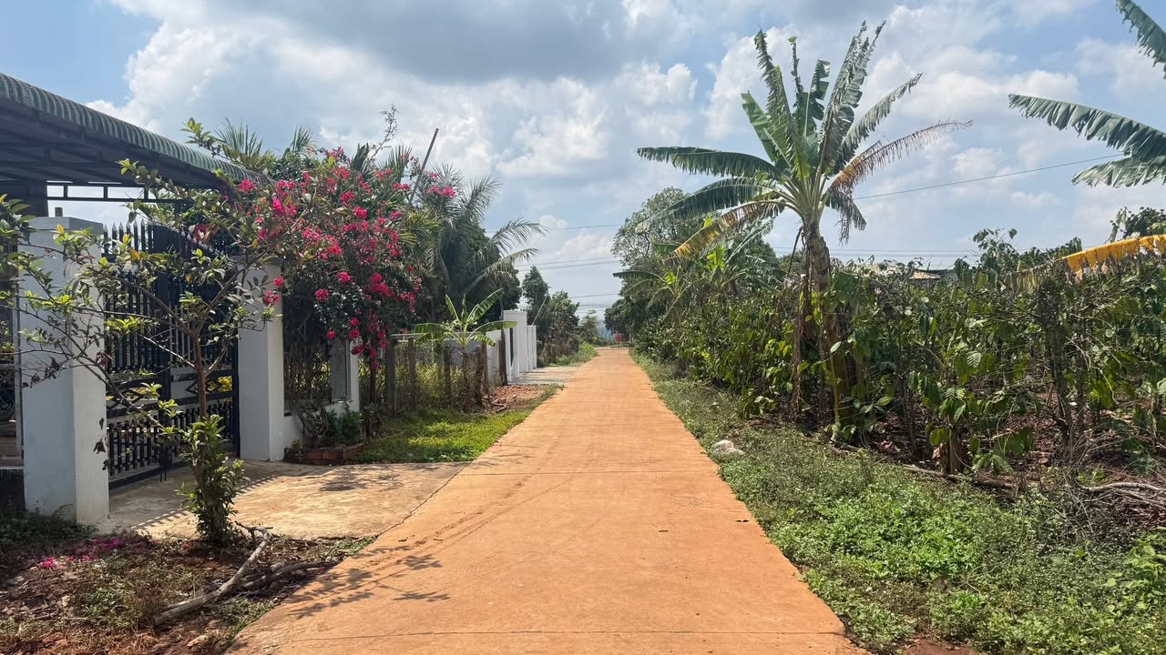 Đất nền Ia Blang, Chư Sê 330m² - Đất thổ cư 100%!