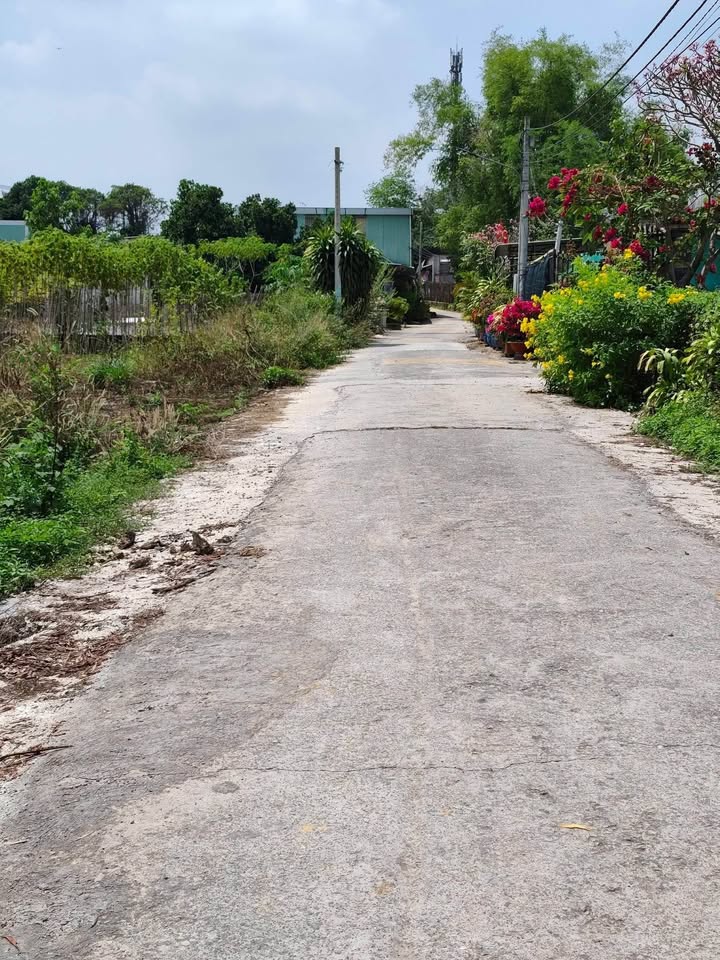 Đất nền Tân Hiệp Hóc Môn 130m² - Sổ đỏ chính chủ, tiềm năng tăng giá!