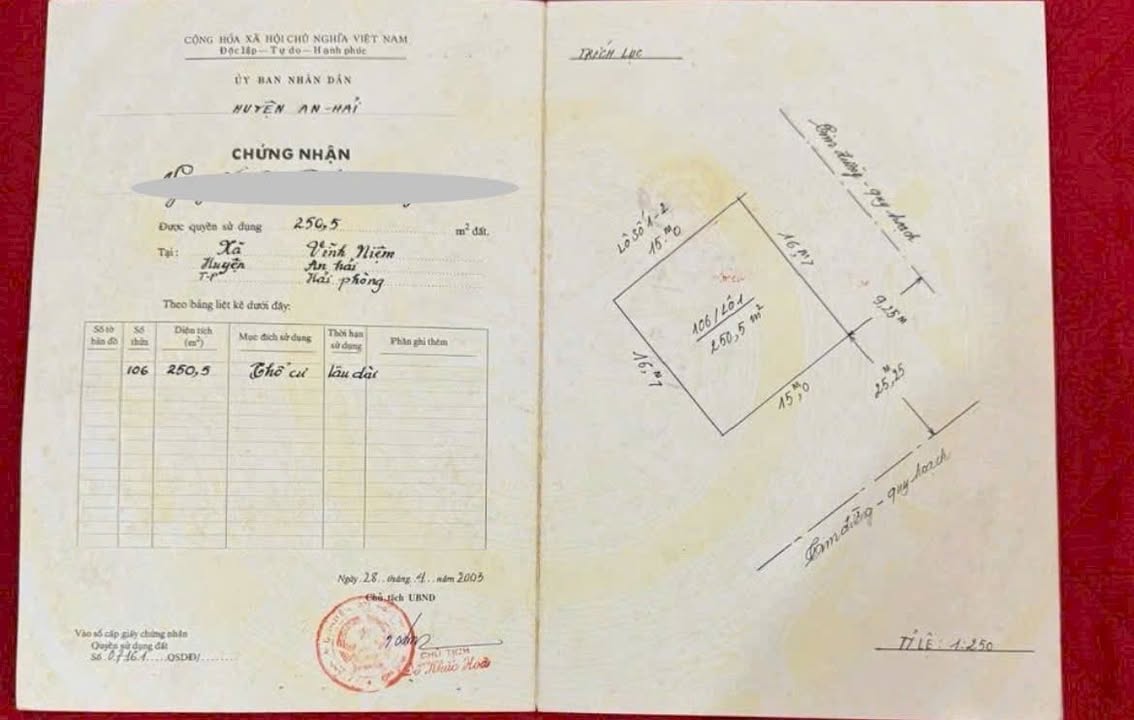 Đất nền Bùi Viện 250m² - Tiềm năng tăng giá vượt trội!