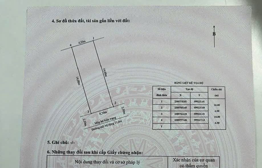 Lô Đất TĐC Cây Đa Hải Phòng 63m² - Tiềm năng tăng giá vượt trội!