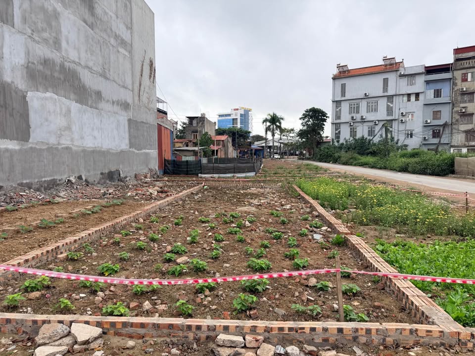 Nhà phố Bùi Viện 60.7m² Hải Phòng - Mặt tiền kinh doanh đắc địa!