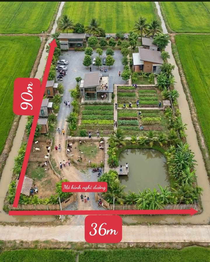 Bán Đất Nền 3300m² Lộ Nhựa 8m Quận Thốt Nốt, Cần Thơ - Giá 4.6 Tỷ