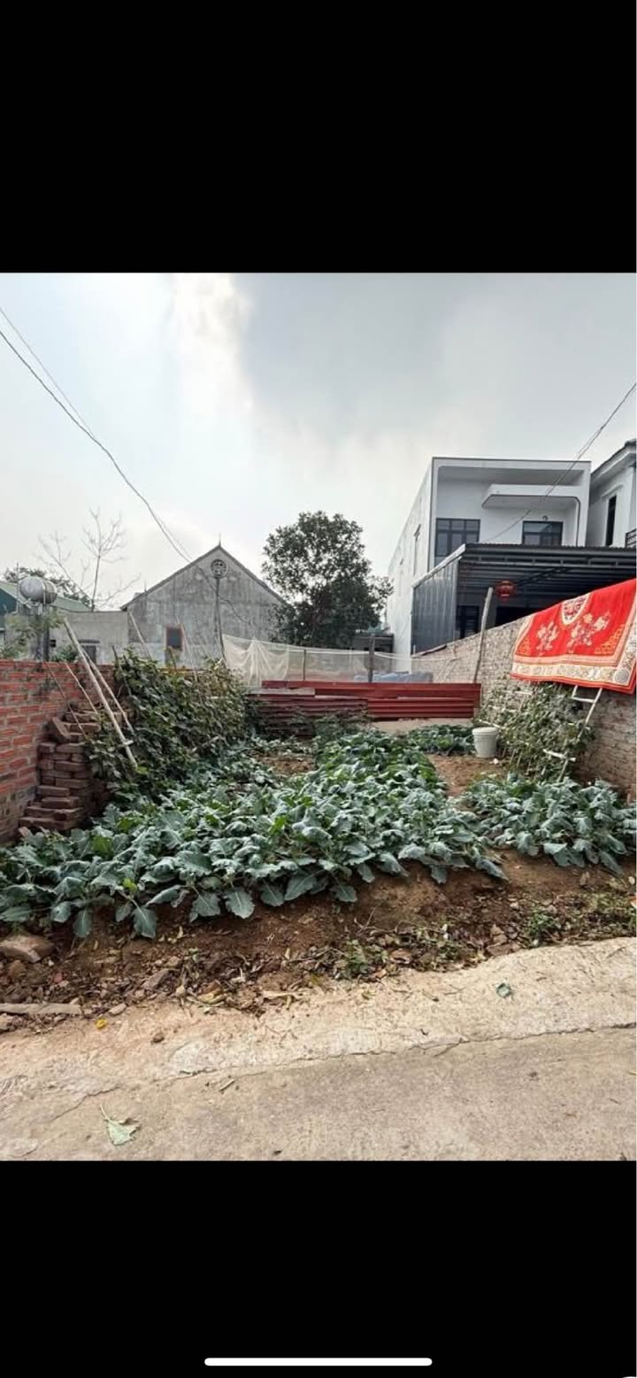 Đất nền Sóc Sơn 120m² - Đường to ô tô, sổ đỏ chính chủ!