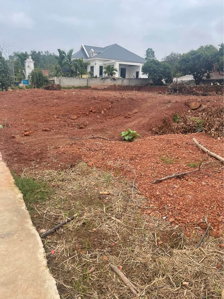 Đất nền Bảo Đài, Gia Bình 154m² - Sổ đỏ chính chủ, giá tốt!