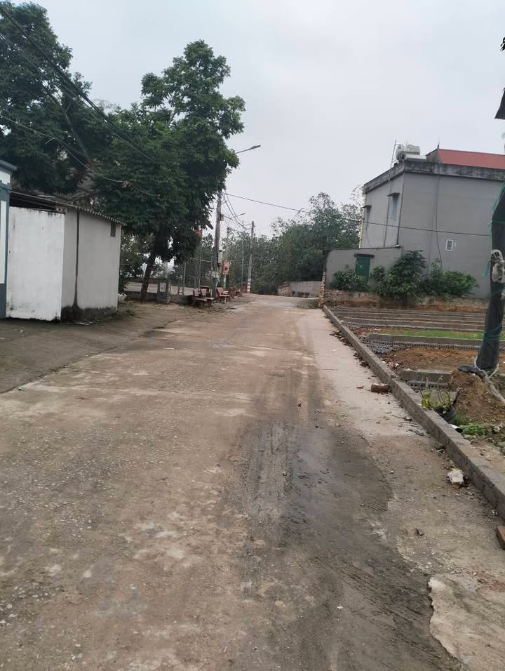 Đất Thổ Cư 100m² Xã Châu Phong, Bắc Ninh - Mặt Tiền 5.2m, Đường Xe Công