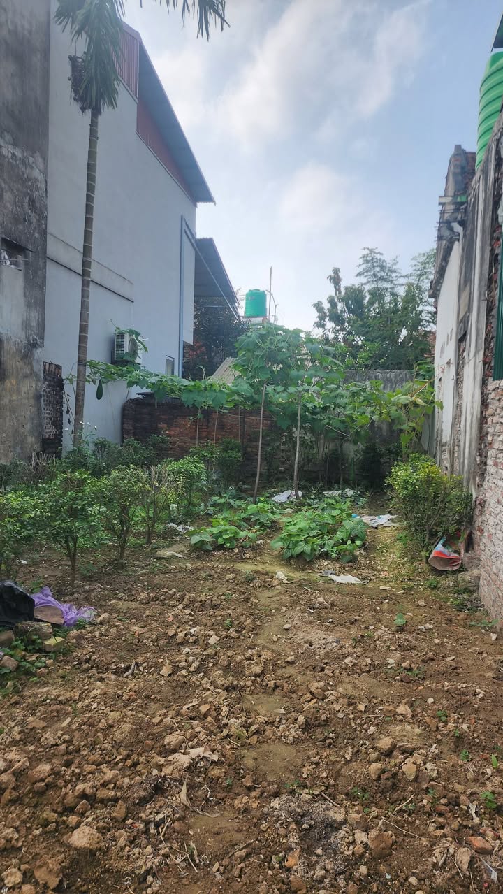 Đất nền Phú Lâm, Tiên Du, 110m² - Tiềm năng tăng giá vượt trội!