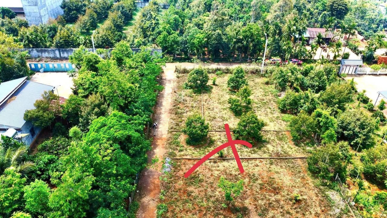 Đất nền Ea Tu, Buôn Ma Thuột 149m² - Sổ đỏ chính chủ!