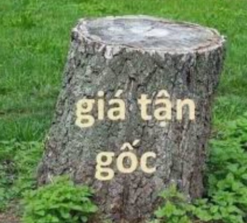 Đất nền Quảng Tiến 186m² - Sổ đỏ chính chủ, 980 triệu