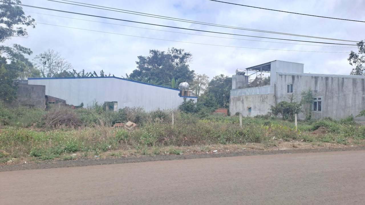 Đất nền mặt tiền Nguyễn Trãi, Ea Kar - 115m², hướng Đông, kinh doanh sầm uất