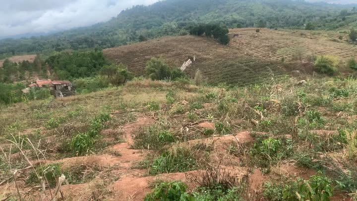 Đất vườn 2.3ha Xã Đức Xuyên, Krông Nô – Sổ đỏ chính chủ, 1.8 tỷ