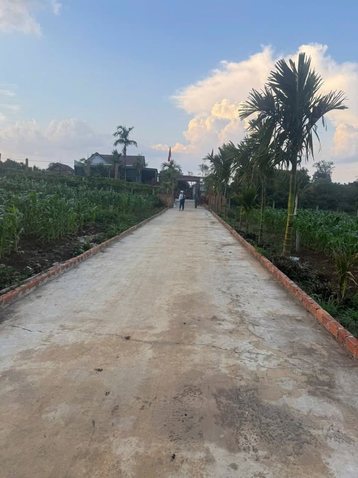 Đất nền Phú Xuân, Sông Cầu 250m² - Sẵn sổ, giá đầu tư chỉ 2xx triệu