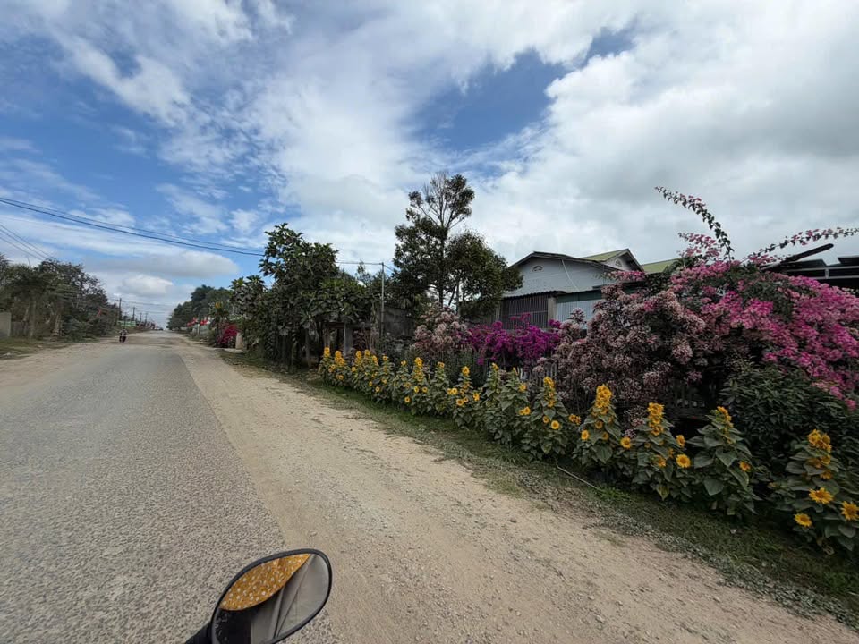 Đất 240m² sổ đỏ Ea Kar, Đắk Lắk - Giá 400 triệu, gần QL 14