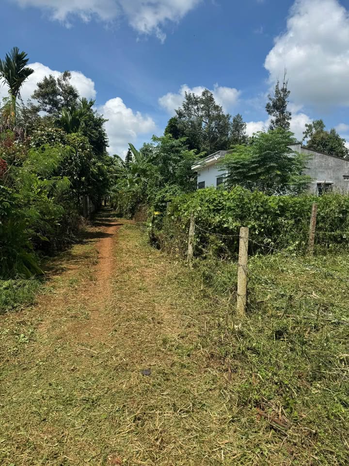 Đất nền Hòa Đông Krông Pắc 260m² giá 850 triệu - Tiềm năng tăng giá!