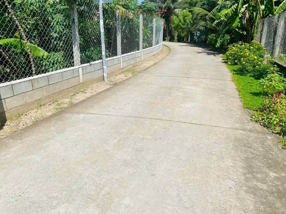 Đất nền Xã Phú Túc, Châu Thành, Bến Tre 126m² - Tiềm năng tăng giá!