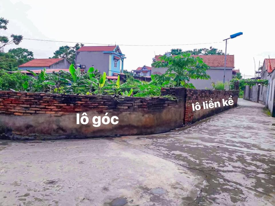 Đất nền Vũ Xá Lục Nam 114m² giá chỉ 300 triệu - Sổ đỏ chính chủ!