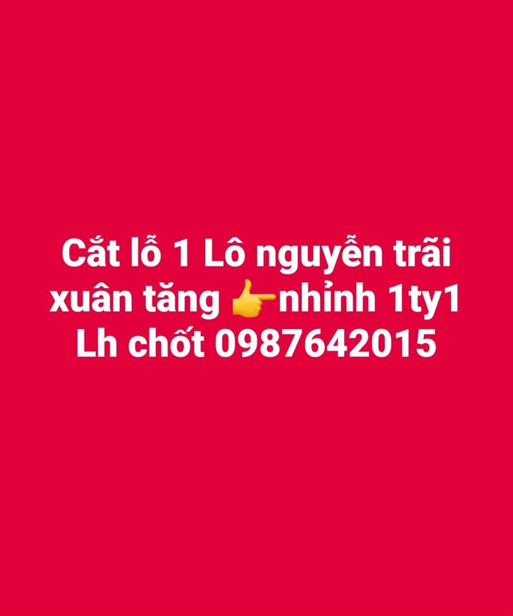 Đất nền Nguyễn Trãi Lào Cai 102m² - Tiềm năng tăng giá vượt trội!