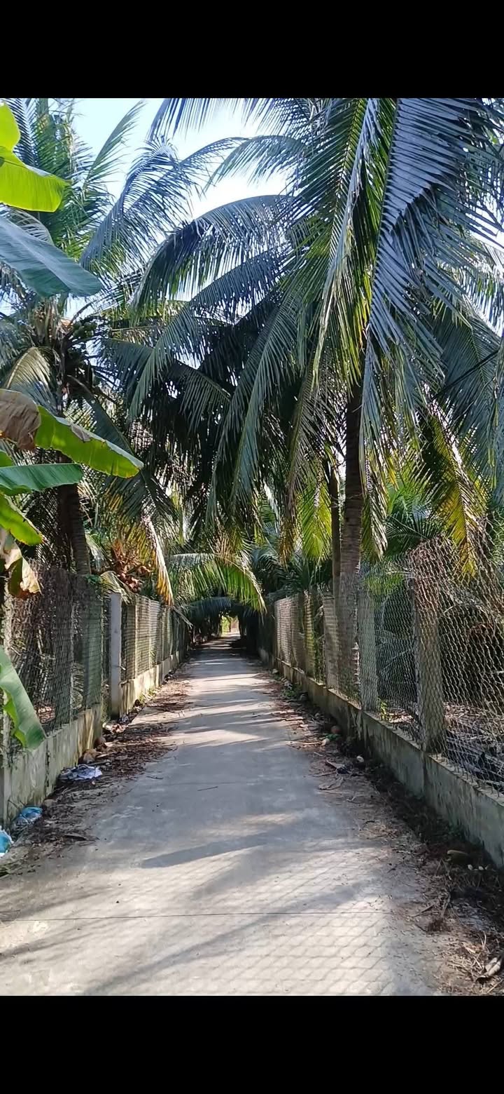 Đất nền Xã Nhị Bình Châu Thành 553m² - Đường to ô tô thông nhiều hướng!