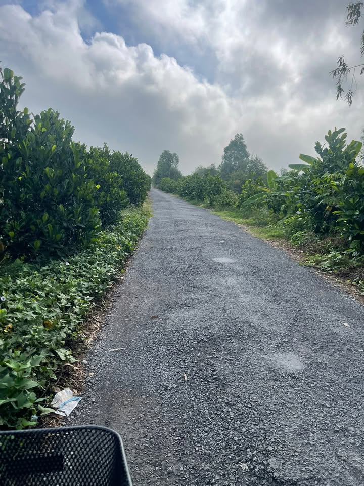 Bán Đất Vườn Sầu Riêng 6000m² Tại Cao Lãnh, Đồng Tháp - Giá Tốt