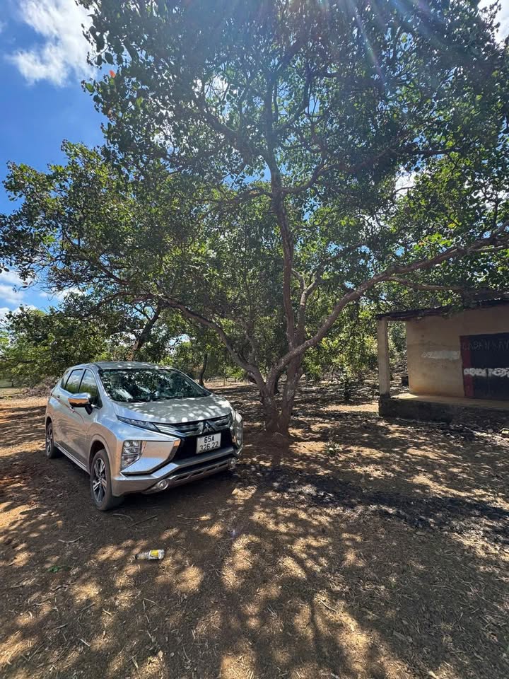 Bán Gấp 7000m² Vườn Điều DT753, Bình Dương - Giá Tốt, Sổ Sẵn