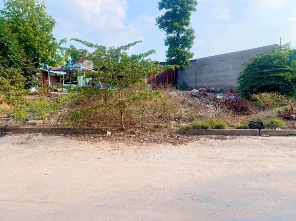 Đất nền Thái Hòa Tân Uyên 325m² - Sổ đỏ chính chủ