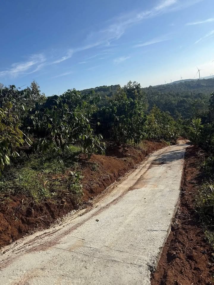 Đất rẫy Cư Né 6200m² giá 2.4 tỷ - Cơ hội đầu tư dài hạn!