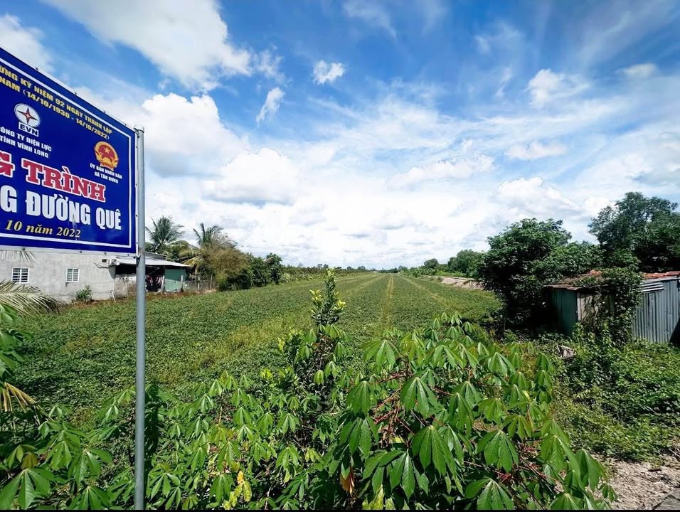 Đất Nền Tân Lược, Bình Tân 700m² - Tiềm Năng Tăng Giá Vượt Trội!