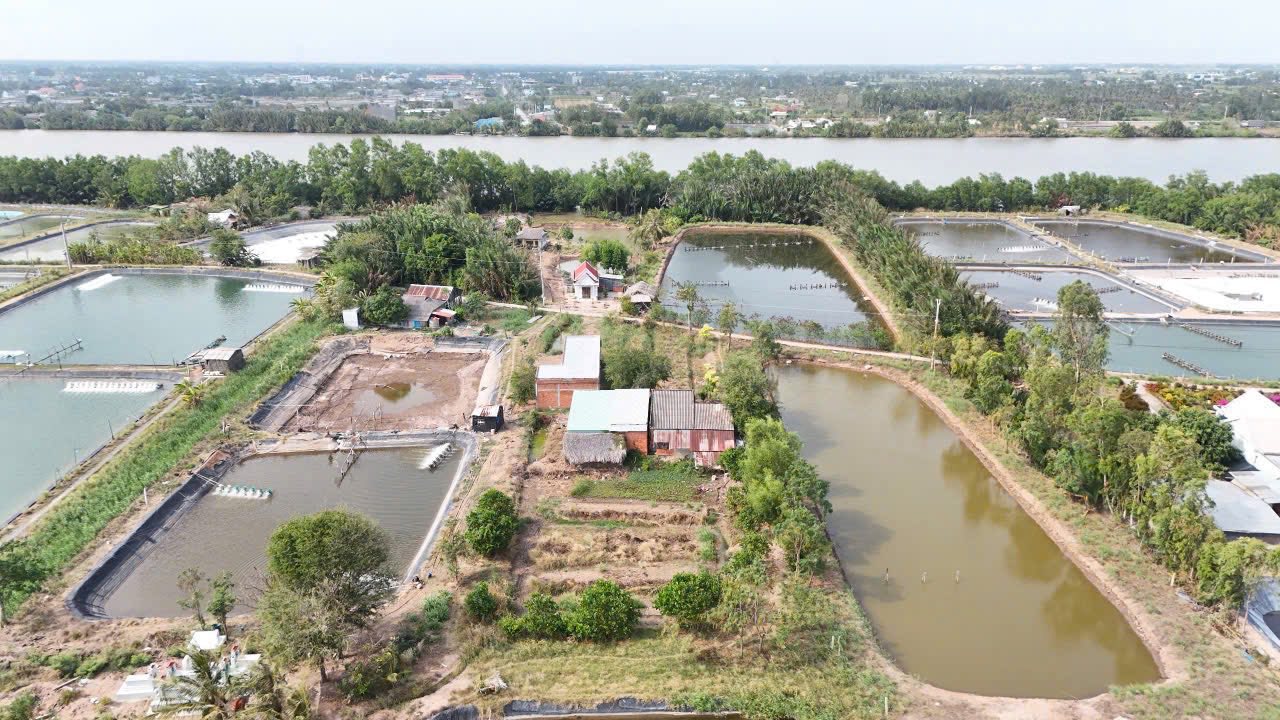 Đất Vườn 1757m² Tân Thới - Xây dựng tự do, giá 450 triệu!