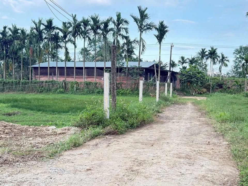 Đất nền Hành Dũng 400m² - Tiềm năng tăng giá vượt trội!