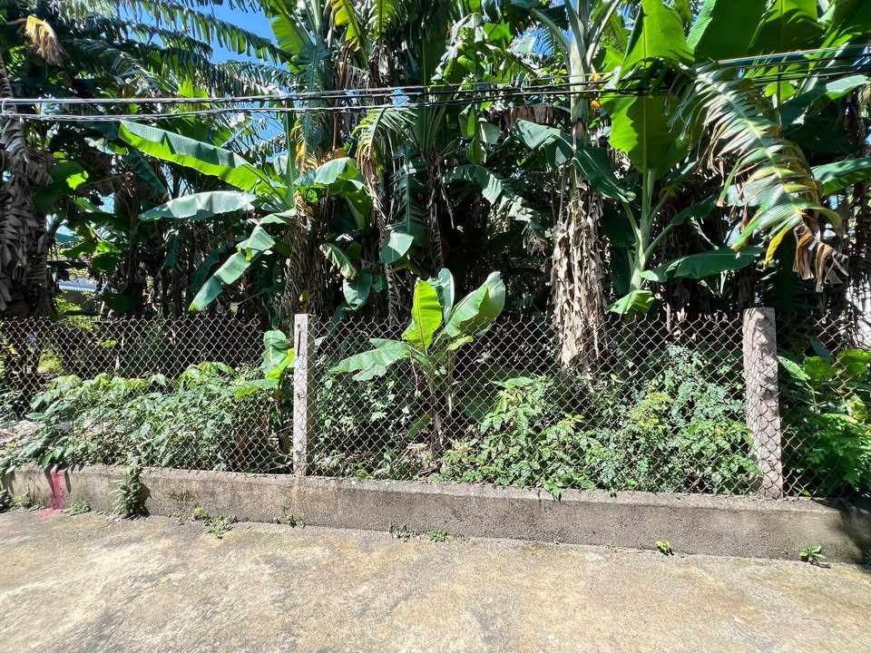 Đất nền Trương Quang Trọng 175m² - Tiềm năng tăng giá tốt!