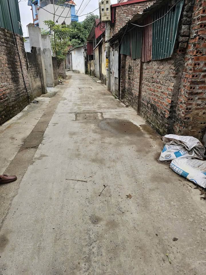 Đất nền Đại Áng, Thanh Trì 50m² giá 1.9 tỷ - Sổ đỏ chính chủ!