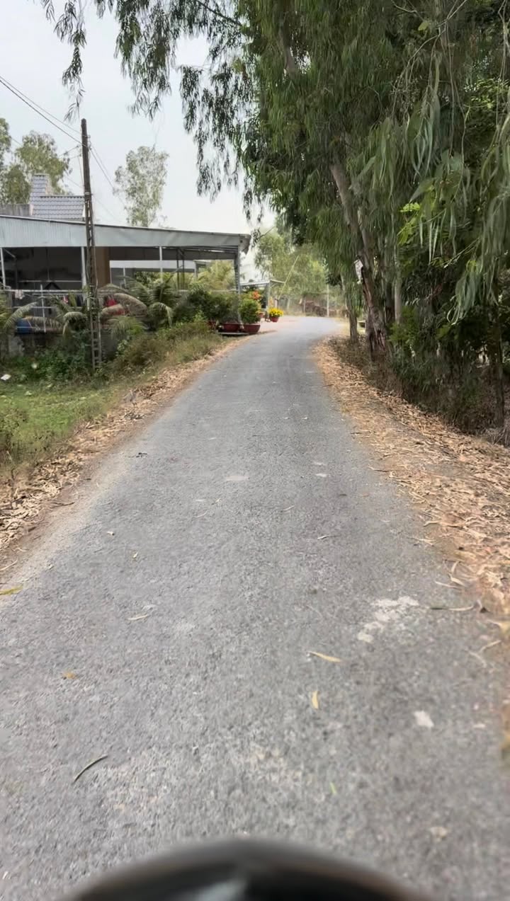 Đất lúa Tân Công Chí 3490m² chỉ 500 triệu - Tiềm năng tăng giá!