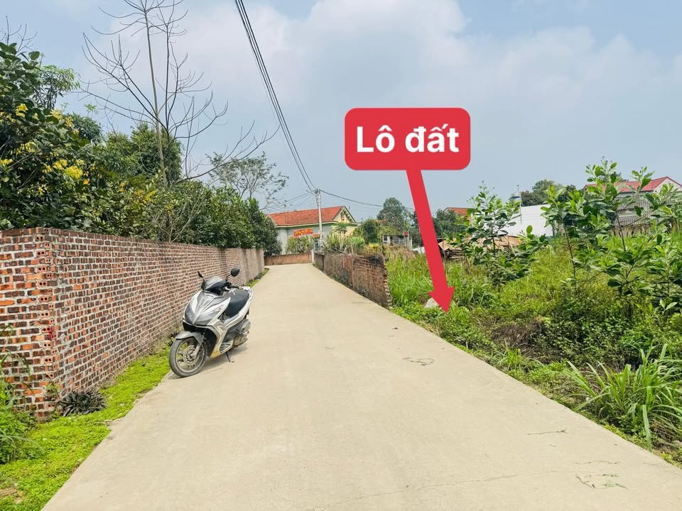 Bán Gấp Đất Vĩnh Phúc 130m² - Cạnh Nhà Văn Hóa Xuân Hòa