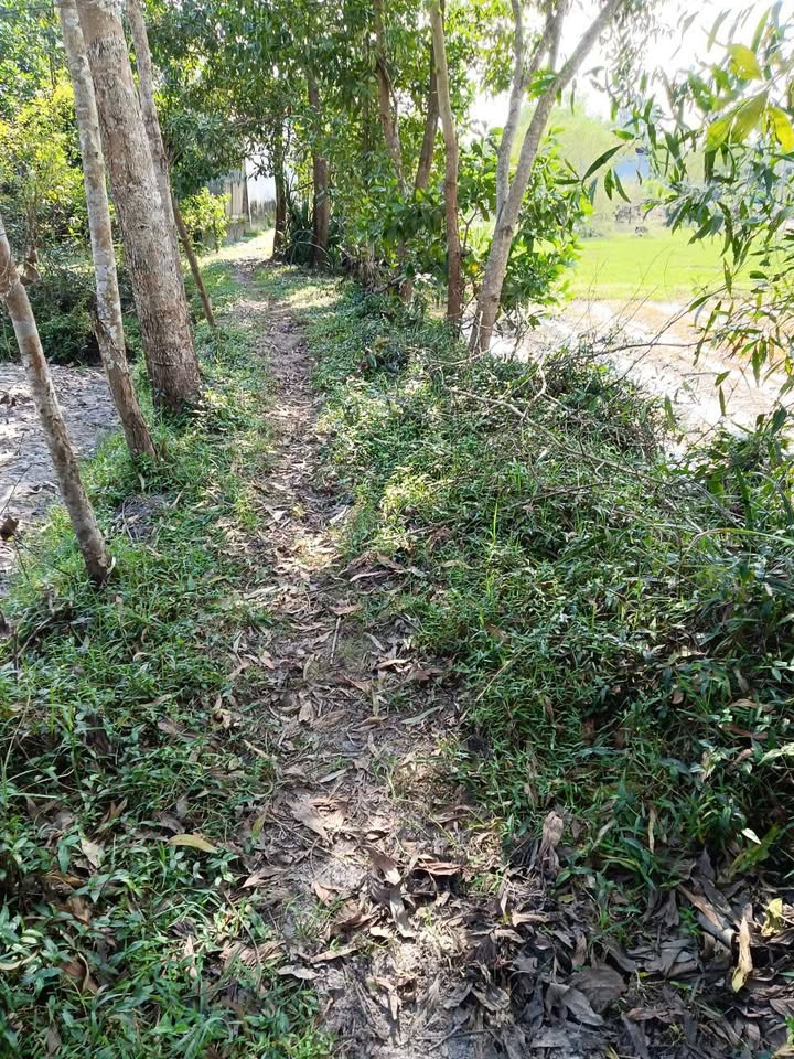 Đất nền Tam Thăng 240m² - Sổ đỏ chính chủ, tiềm năng tăng giá!