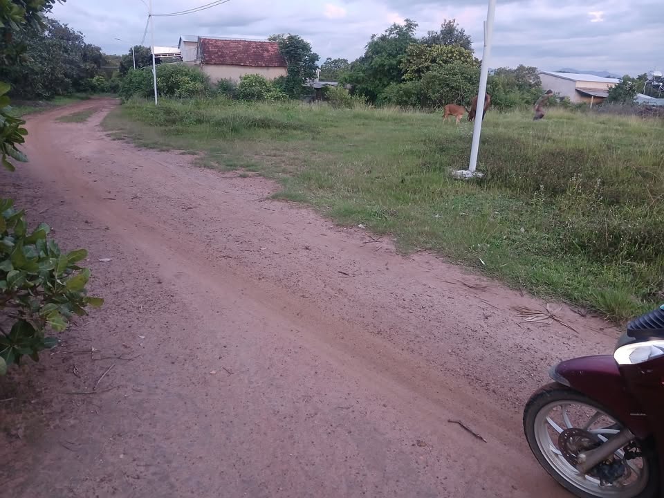 Đất nền Ea Đar, Ea Kar 65m² giá 320 triệu - Sổ đỏ chính chủ!