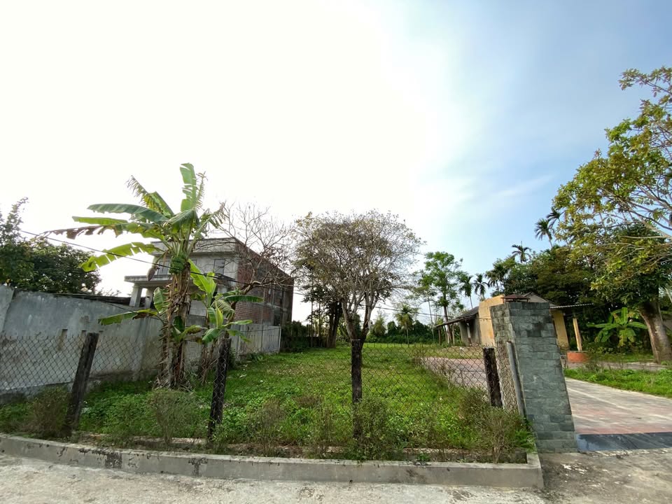 Đất nền Nguyễn Thị Lý 150m² 5xx triệu - Tiềm năng tăng giá