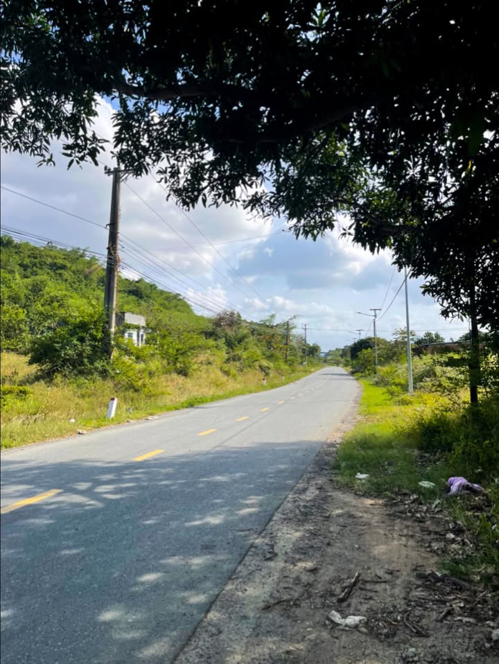 Đất Nền Mặt Tiền Tỉnh Lộ 3 Cam Ranh 950m² - Sổ Đỏ Rõ Ràng