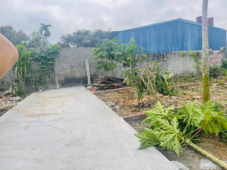 Đất nền Phùng Thị Trinh Kiến An 48m² - Đầu tư sinh lời, xây kinh doanh đắc địa